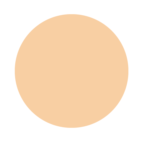 4 標準的な肌色