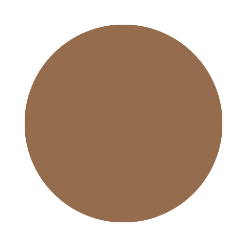 BR04 アッシュ系でやや明るめの茶色